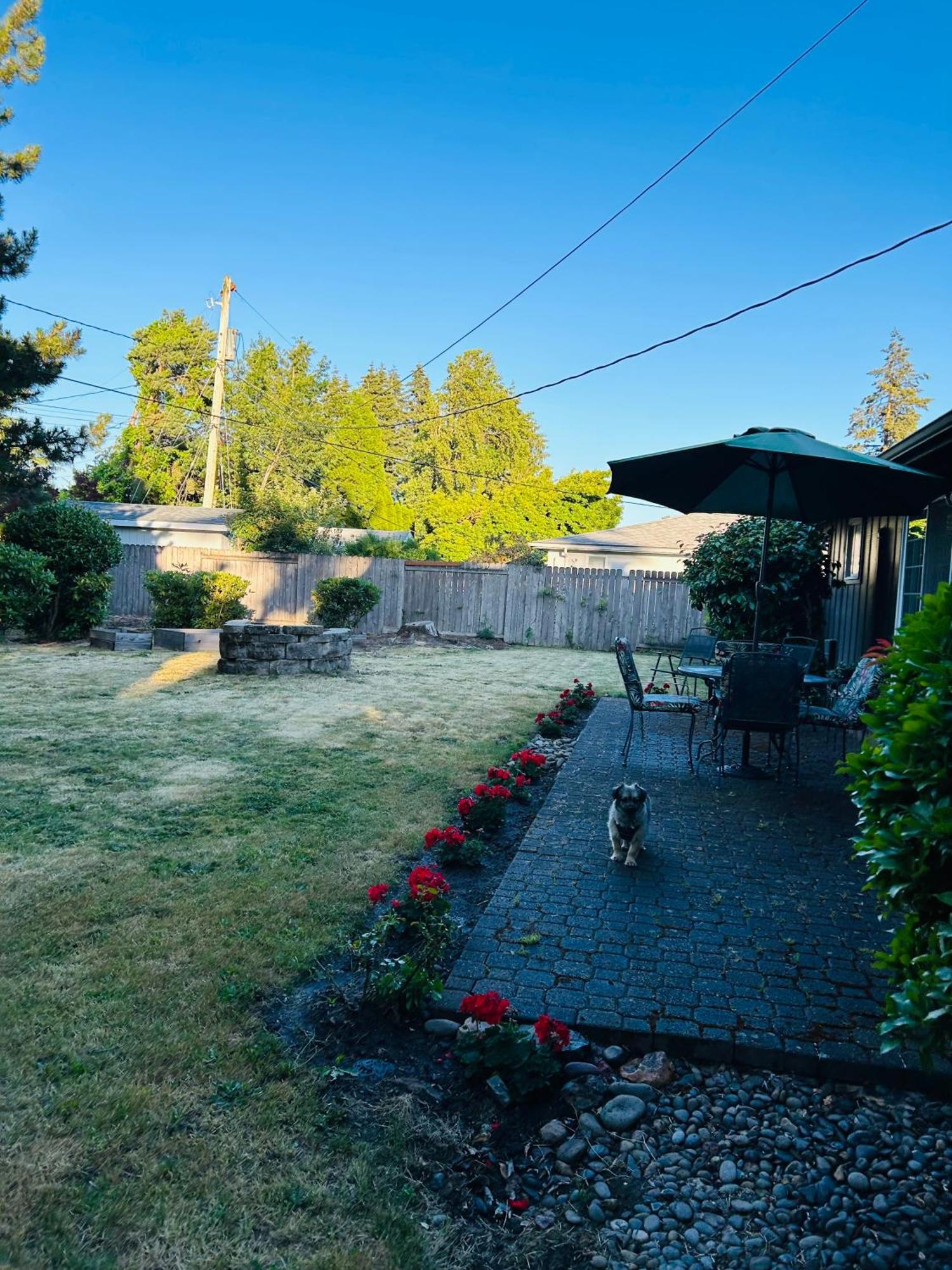 Emerald City 3 Bedroom 1 Bath Home Eugene Exteriér fotografie